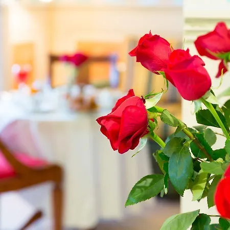 Londra Hotel 4*