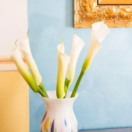 Londra 4* アレッサンドリア